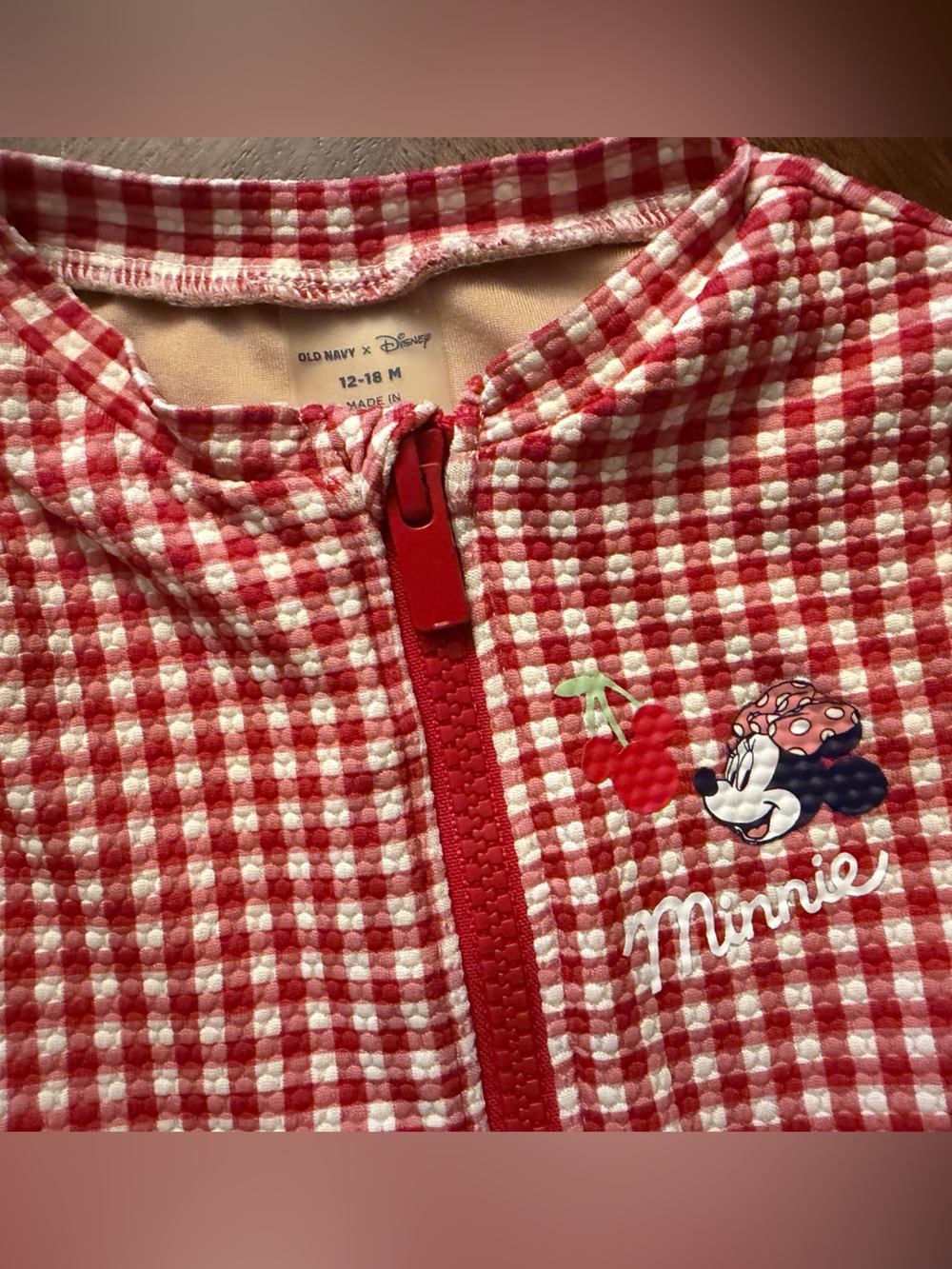 Disney Red & White Gingham Minnie Mouse Zip-Up Swimsuit